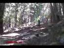 Downieville classic 2007