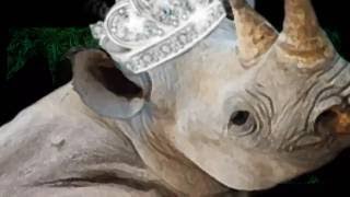 FAM ´2016 Festival Internacional de las Artes del Movimiento