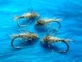 Tying the Fox Squirrel Nymph with Davie McPhail.