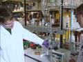 Green Nanotechnology