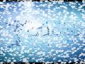 أنواع المكملات الغذائية للاعب كمال الأجسام