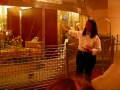 Dearborn, Michigan: The Henry Ford - The Dymaxion House