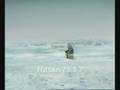 Funny Video Clips - Shark attack - Eskimo meets killer whale
