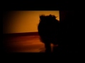corto-guau.html