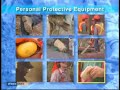 Logging safety awareness