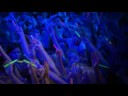 حفلة هانا مونتانا ( one in a million )