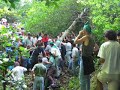 Il Maggio di Accettura