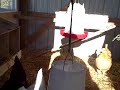 Toledo GROWs-Turkey revue pt4