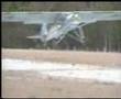 Storch at Somersby