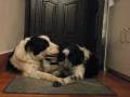 videos de Esti fürdés