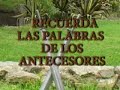 Su presencia -  Gincana Escarlata