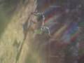 videos de Toreando en Melgar VIII
