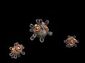 Spore Creature Creator Video