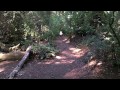 Day hike with my daughter at Muir Woods National Monument Park in Sausalito, CA.