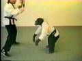 Karate chimpanzee