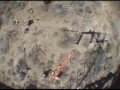 Lineman 2000--Hanging from a Helicopter!
