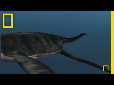 MONSTERS Of The Ancient Seas 