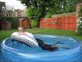 Wetlook - Wetmar Wet Long Blue Skirt in the Pool