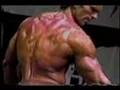 Bodybuilder-JEFF-WIL