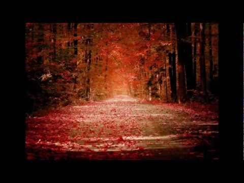 Celine Dion - J'attendais