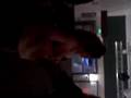 bailando banda en los caballos nigth club en  santa rosa, ca