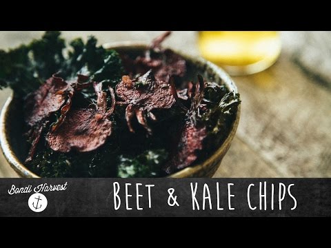 how to harvest lacinato kale