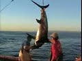 Swordfishing
