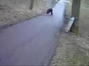 longboard slides in berga