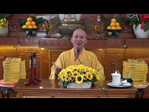 Tinh Hoa NIKAYA - Tâm Là Gì ? Tham Sân Si Ở Đâu? Cảm Giác An Tịnh - Lắng Dịu - Dễ Chịu.