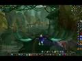 World of Warcraft on 9800gtx+ gameplay