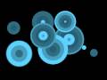 Blue-Roundels