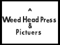 stoner bros opening credits Video by STONER BROS - MySpace Video.flv