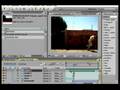 Video Aula After Effects: Correndo igual ao Smallville