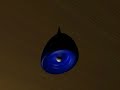 Short Sort of Random Animation