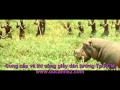 Dã man, Vũ trường trên sa mạc châu phi, thế giới động vật hoang dã