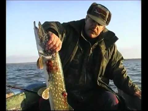 YouTube Трейлер