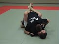 Full contact competition training