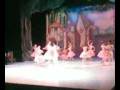 Coppelia - prece
