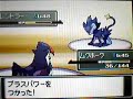Pokemon Platinum - Gym Leader #8 - Volkner Pokemon Platinum - Gym Leader #8 - Volkner
