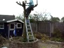 Boom Zagen In De Tuin Jaarlijks terugkerende actie, nu met elektrische zaag gelukkig! http://t.co/Vtd7PVBVg4