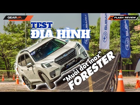Cuối tuần làm gì?: Chạy Subaru Forester vượt địa hình trong 