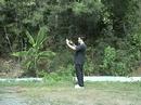 Free Lesson: 7. Stork Cools Wing- Wu Tai Chi