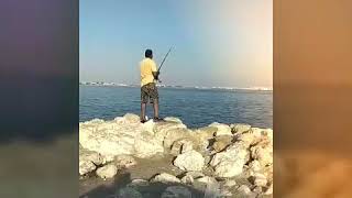 Giant stingray fishing in bahrain by AJA2 (therand