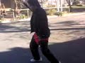 the dancing asian from banksia