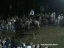 Spectacle Equestre - Envol - Spectacle Equestre - Envol -