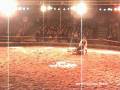 Spectacle Equestre - Envol -