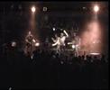 The Phoenix - Birneaux (Live)