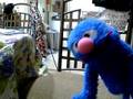 videos de The Angry Blue Sock Sings Angel of Death by Slayer