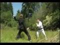 Crouching Tea-ger Hidden Dragon
