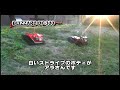 ??????? DF-300 GP